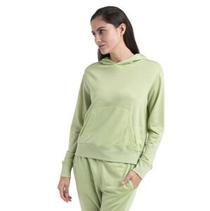 Dámská merino mikina s kapucí ICEBREAKER Wmns Merino Crush II LS Hoodie, Glazen velikost: S