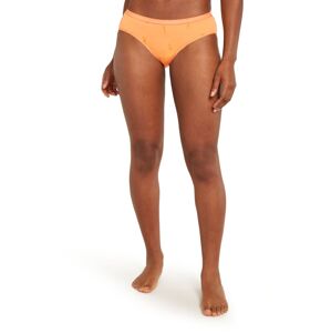 Dámské merino spodky ICEBREAKER Wmns 150 Siren Hipkini Ski Day, Feldspar/Aop velikost: XS