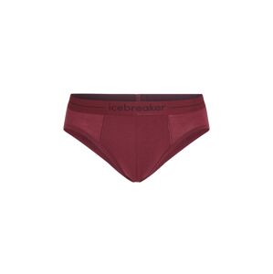 Pánské merino slipy ICEBREAKER Mens Anatomica Briefs, Port velikost: L