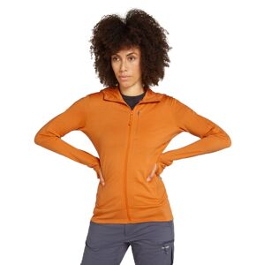 Dámská merino mikina s kapucí ICEBREAKER Wmns 260 Quantum IV LS Zip Ho, Ray velikost: M