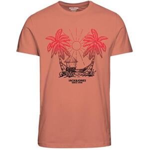 Jack&Jones Pánské triko JORARUBA Standard Fit 12258057 Canyon Sunset XL