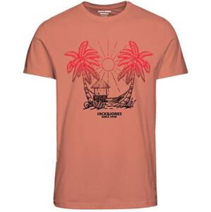 Jack&Jones Pánské triko JORARUBA Standard Fit 12258057 Canyon Sunset L