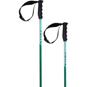 Volkl Phantastick Jr Green - green 110