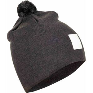 Bjorn Daehlie Hat Tradition - 95400 uni