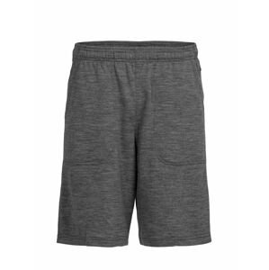 pánské merino kraťasy ICEBREAKER Mens Shifter Shorts, Gritstone Heather velikost: M