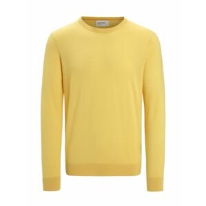 ICEBREAKER Mens Wilcox LS Sweater, Summer velikost: L