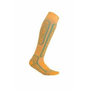 ICEBREAKER Wmns Ski+ Medium OTC Alpine Geo, Solar/Flux Green velikost: M