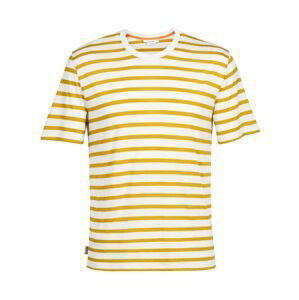 pánské triko krátký rukáv ICEBREAKER Mens Drayden SS Tee Stripe, Ecru HTHR/Silent Gold/S velikost: M