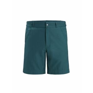 ICEBREAKER Mens Hike Shorts, Green Glory velikost: 34