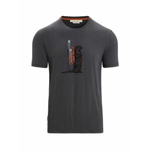 ICEBREAKER Mens Central Classic SS Tee Otter Paddle, Monsoon velikost: M