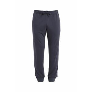 ICEBREAKER Mens Merino Shifter II Pants, Graphite velikost: L