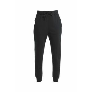 ICEBREAKER Wmns Merino Crush II Pants, Black velikost: XS