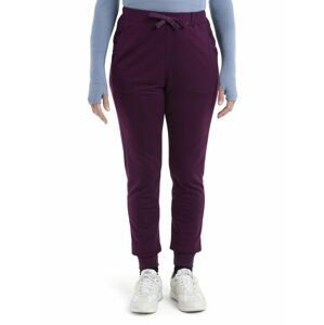 ICEBREAKER Wmns Merino Crush II Pants, Nightshade velikost: L