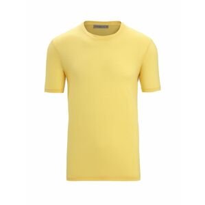 ICEBREAKER Mens Tech Lite II SS Tee, Summer velikost: L