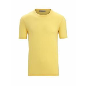 ICEBREAKER Mens Tech Lite II SS Tee, Summer velikost: S