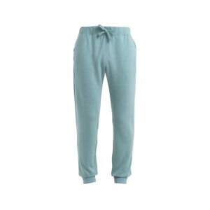 ICEBREAKER Mens Merino Shifter II Pants, Cloud Ray velikost: L