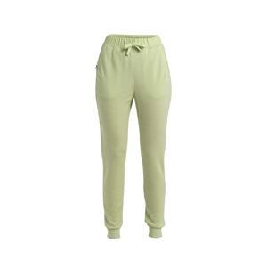 ICEBREAKER Wmns Merino Crush II Pants, Glazen velikost: L