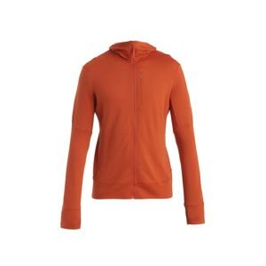 ICEBREAKER Mens Merino 260 Quantum IV LS Zip Hoodie, Molten velikost: S