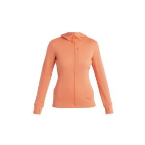 ICEBREAKER Wmns Merino 260 Quantum IV LS Zip Hoodie, Tang velikost: L