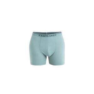 ICEBREAKER Mens Anatomica Boxers, Cloud Ray velikost: M