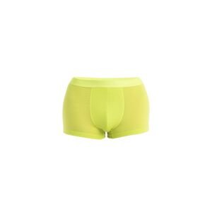 ICEBREAKER Mens Anatomica Cool-Lite™ Trunks, Hyper velikost: XXL