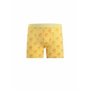 ICEBREAKER Mens Anatomica Boxers, Summer/Aop velikost: L