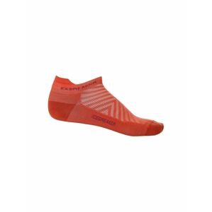 ICEBREAKER Mens Run+ Ultralight Micro, Vibrant Earth/Go Berry velikost: M