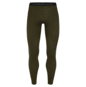 pánské merino spodky ICEBREAKER Mens 200 Oasis Leggings, Loden velikost: S