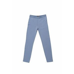 ICEBREAKER Kids 260 Tech Leggings, Kyanite velikost: 2