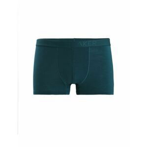 ICEBREAKER Mens Anatomica Cool-Lite™ Trunks, Green Glory velikost: XL