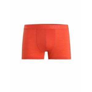 ICEBREAKER Mens Anatomica Cool-Lite Trunks, Vibrant Earth velikost: L