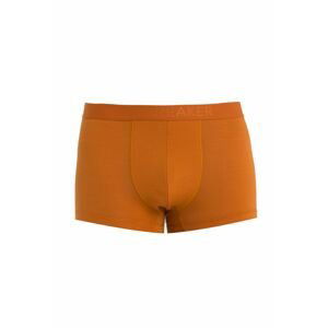 ICEBREAKER Mens Anatomica Cool-Lite Trunks, Earth velikost: XL