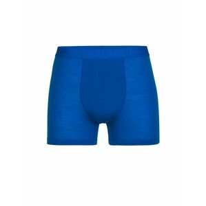 pánské boxerky ICEBREAKER Mens Anatomica Cool-Lite™ Boxers, Lazurite velikost: S