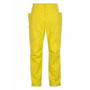 pánské merino kalhoty ICEBREAKER Mens Merino Shell+ Pants, Shine (vzorek) velikost: M