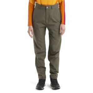 Dámské merino kalhoty ICEBREAKER Wmns Hike Pants, Loden velikost: 31