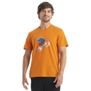 Pánské merino triko krátký rukáv ICEBREAKER Mens Merino Central Classic SS Tee Ski Rider, Earth velikost: XXL