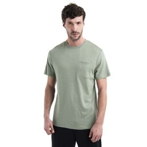 Pánské merino triko krátký rukáv ICEBREAKER Mens Merino 200 IB X TNF SS Tee, Lichen velikost: L