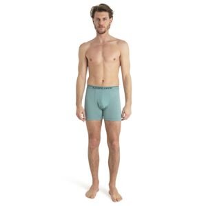 Pánské merino boxerky ICEBREAKER Mens Anatomica Boxers, Cloud Ray velikost: L