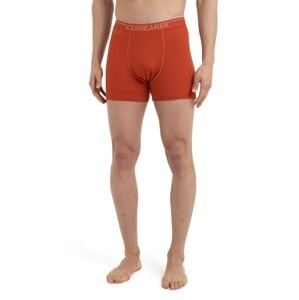 Pánské merino boxerky ICEBREAKER Mens Anatomica Boxers, Molten velikost: L