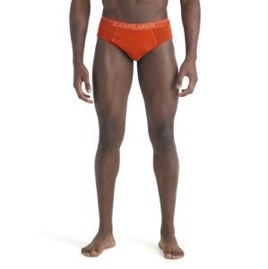 Pánské merino slipy ICEBREAKER Mens Anatomica Briefs, Molten velikost: S