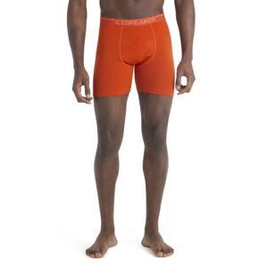 Pánské merino boxerky ICEBREAKER Mens Anatomica Long Boxers, Molten velikost: L