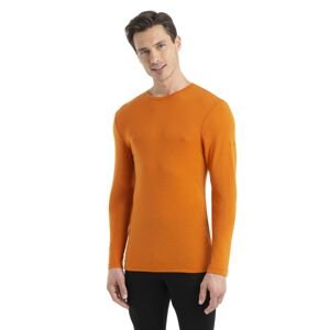 Pánské merino triko dlouhý rukáv ICEBREAKER Mens 175 Everyday LS Crewe, Earth velikost: XL