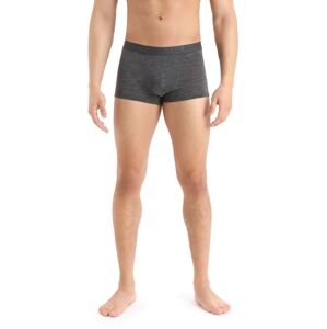 Pánské boxerky ICEBREAKER Mens Anatomica Cool-Lite™ Trunks, Monsoon Heather velikost: M