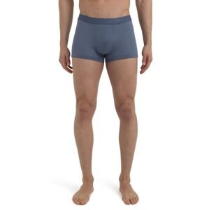 Pánské merino boxerky ICEBREAKER Mens Anatomica Cool-Lite™ Trunks, Dawn velikost: S