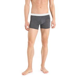 Pánské boxerky ICEBREAKER Mens Anatomica Cool-Lite™ Boxers, Monsoon Heather velikost: S