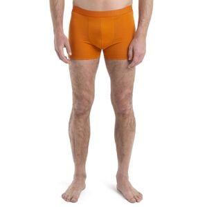 Pánské merino boxerky ICEBREAKER Mens Anatomica Cool-Lite Boxers, Earth velikost: M