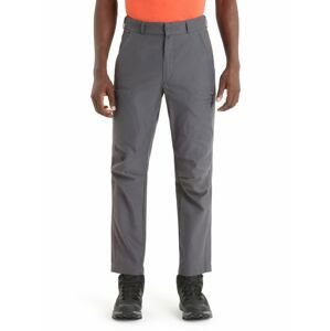 Pánské merino kalhoty ICEBREAKER Mens Hike Pants, Monsoon velikost: 34