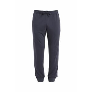 Pánské merino kalhoty ICEBREAKER Mens Merino Shifter II Pants, Graphite velikost: L