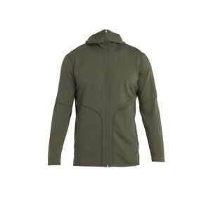 ICEBREAKER Mens Merino 560 Realfleece EleMtal II LS Zip H, Loden velikost: S