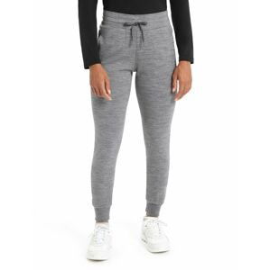 Dámské kalhoty ICEBREAKER Wmns Crush Pants, Gritstone Heather velikost: L